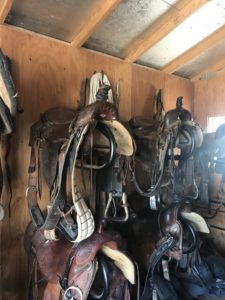 inside the tack room